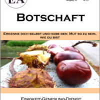 Botschaft Ausgabe 117